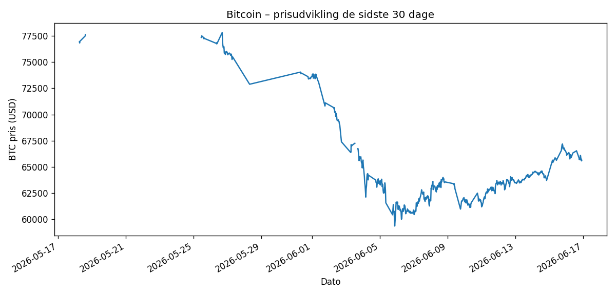 Bitcoin prisgraf sidste 30 dage